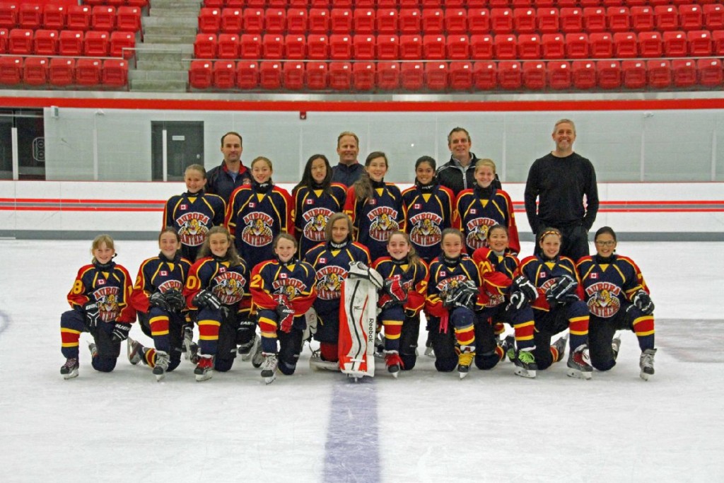 Sponsoring Girls Hockey
